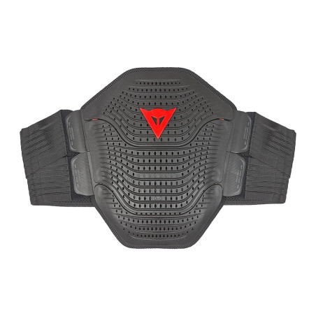 Protettore lombare Dainese Manis 29 ▶️ [-??%]