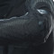 DAINESE ANTARTICA 2 GORE-TEX JACKET