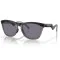 OAKLEY FROGSKINS HYBRID MTBLK/GYSMK W/PRIZMGY