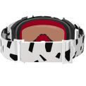 ALPINESTARS SUPERTECH CORP GOGGLE 