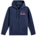ALPINESTARS FORMULATIE HOODIE - Model BLAUW