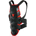 Protectors Dainese